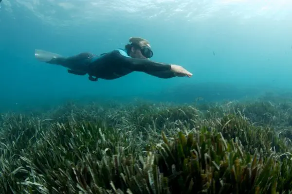 Spainventure Adventure snorkeling in Mediterranean Sea sourronded of gorgonias land