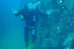 Spainventure Adventure Scuba dive in Mediterranean Sea beetwen gorgonias