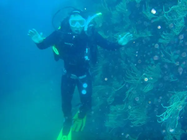 Spainventure Adventure Scuba dive in Mediterranean Sea beetwen gorgonias
