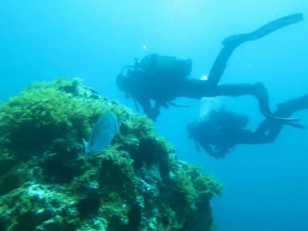 Spainventure Adventure Scuba dive in Mediterranean Sea another step