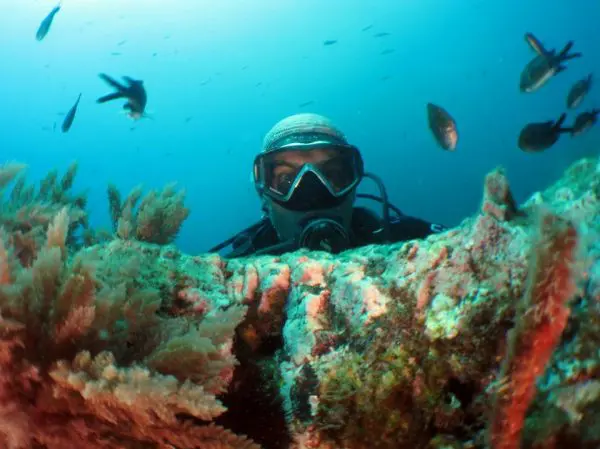 Spainventure Dive in Fuengirola with Friends adventure tourism