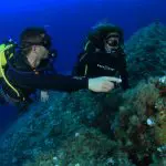 Spainventure Scuba Dive Spain Adventure baptism starfish