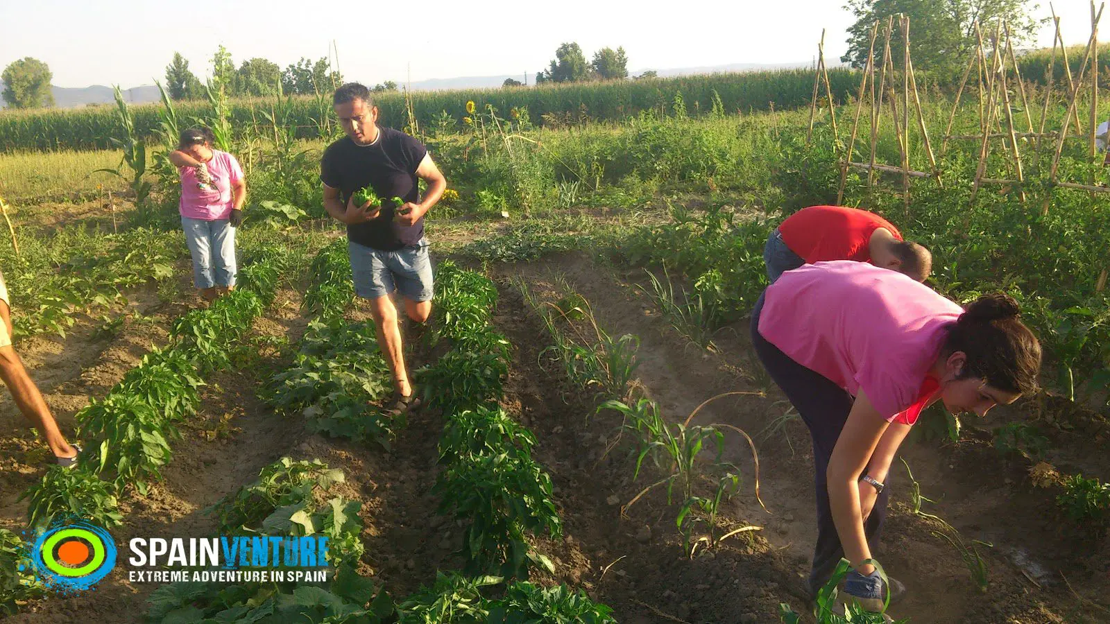 Spainventure Huerta parapente Fuengirola y si damos un paso mas Spainventure Huerta parapente Fuengirola y si damos un paso mas