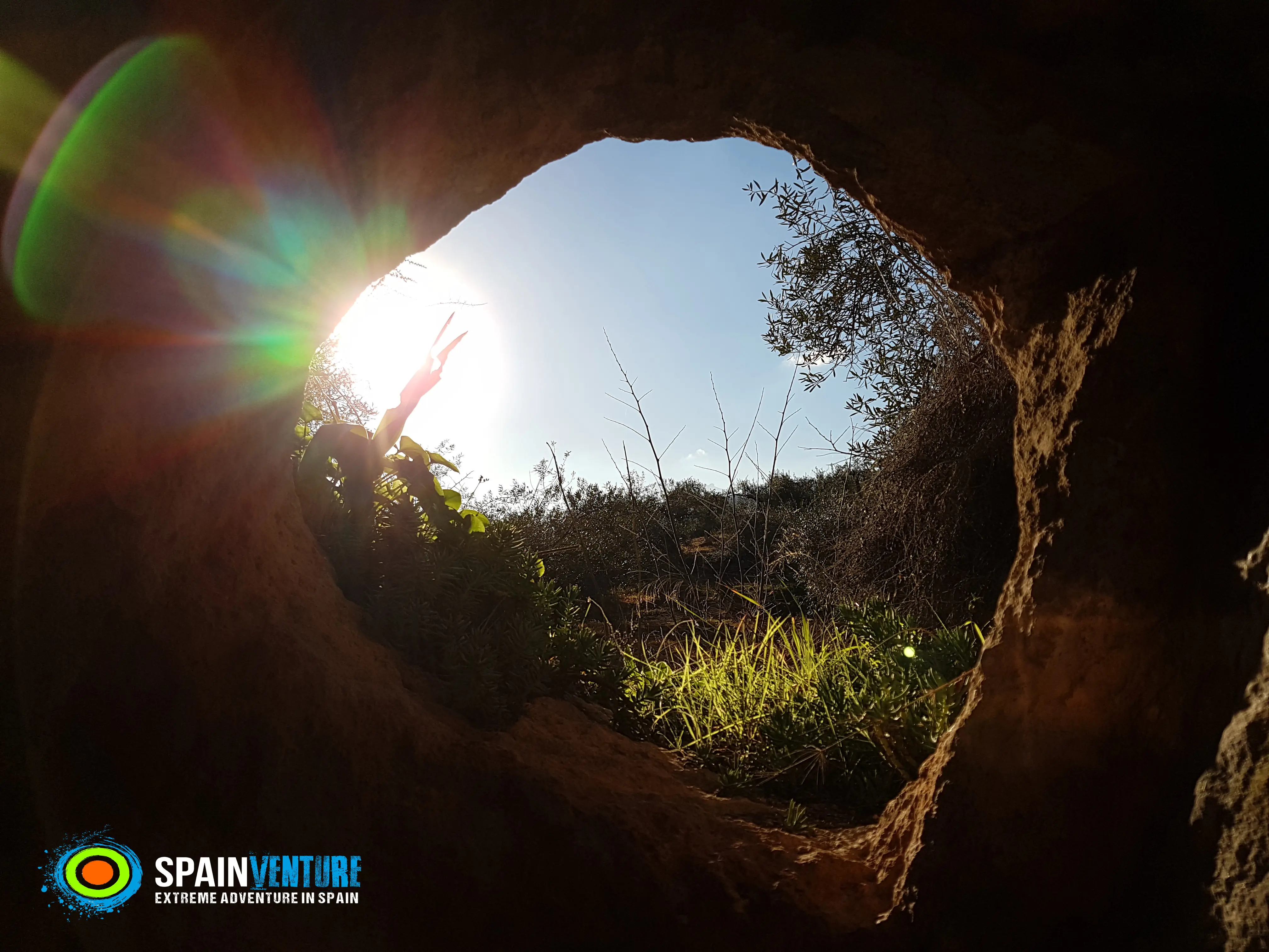 Spainventure among olive trees history Spainventure among olive trees history