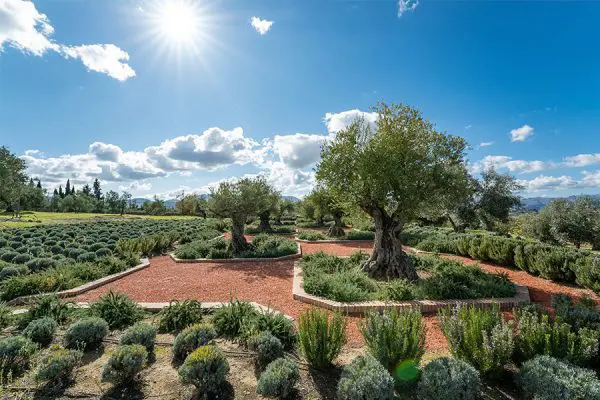 Spainventure exclusive-tours-malaga