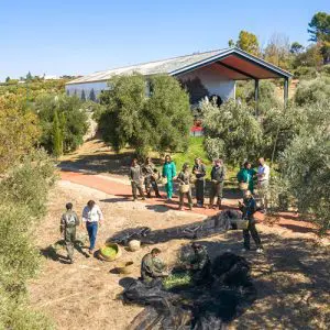 spainventue-oil-tasting-ronda