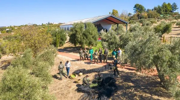 spainventue-oil-tasting-ronda