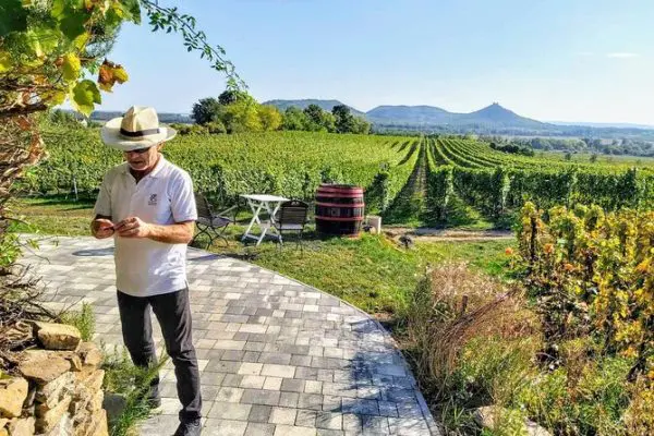 spainventure-visiting-a-vineyard-in-ronda