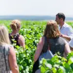 spainventure wine tourism at malaga