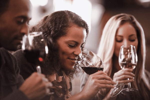 spainventure-wine-tasting-ronda