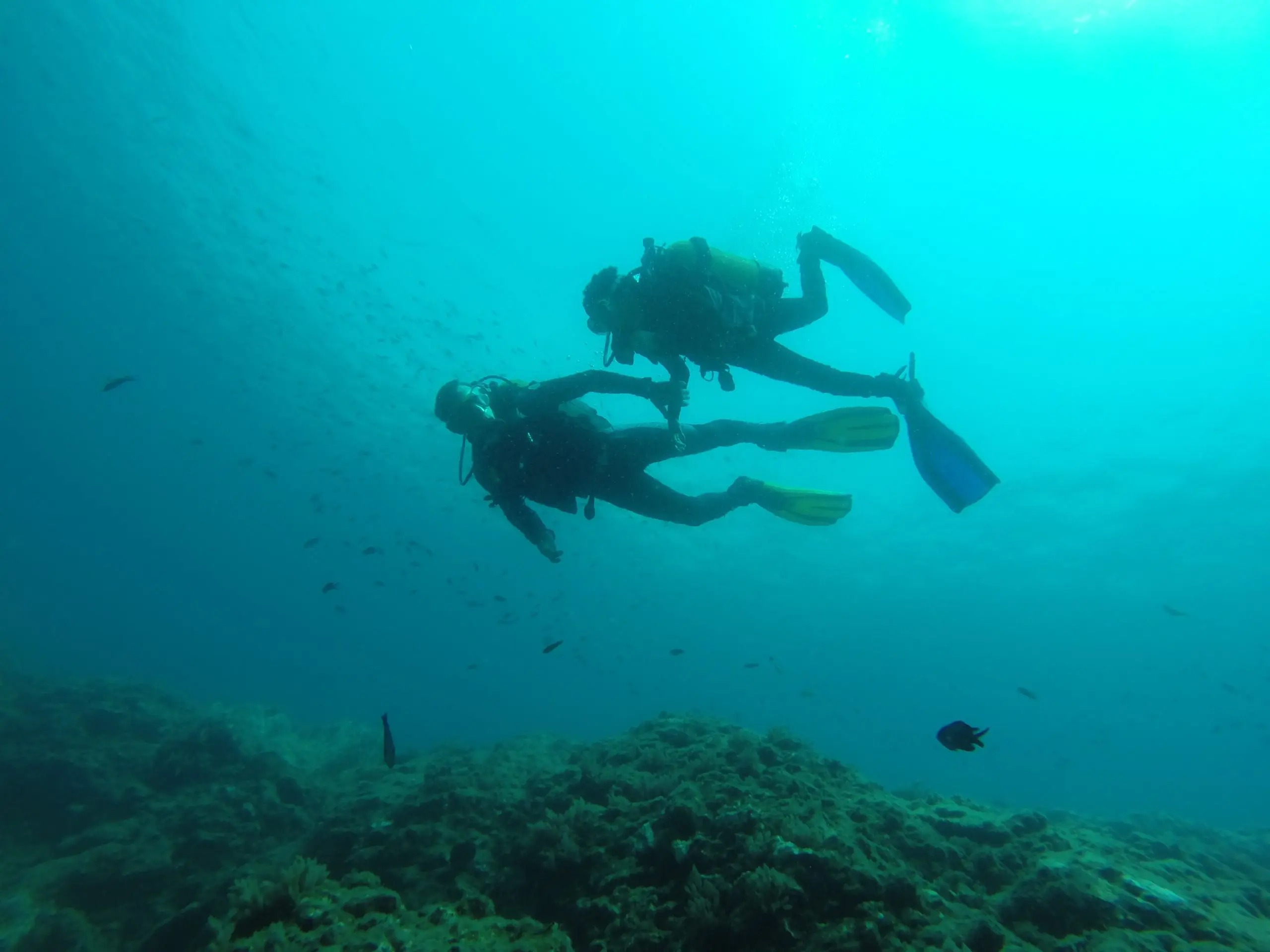 Spainventure dive Mediterranean sea Adventure Tourism turismo de aventura instructor and diver