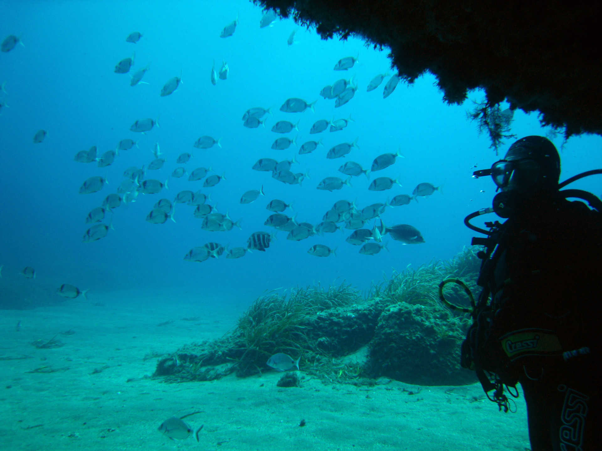 Spainventure admiring the amazing depth world Fuengirola diving por fin lo hicimos