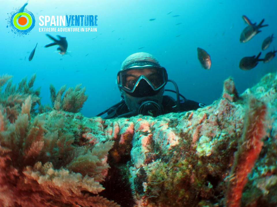 spainventure-buceo-en-fuengirola-con-amigos-y-si-damos-un-paso-mas